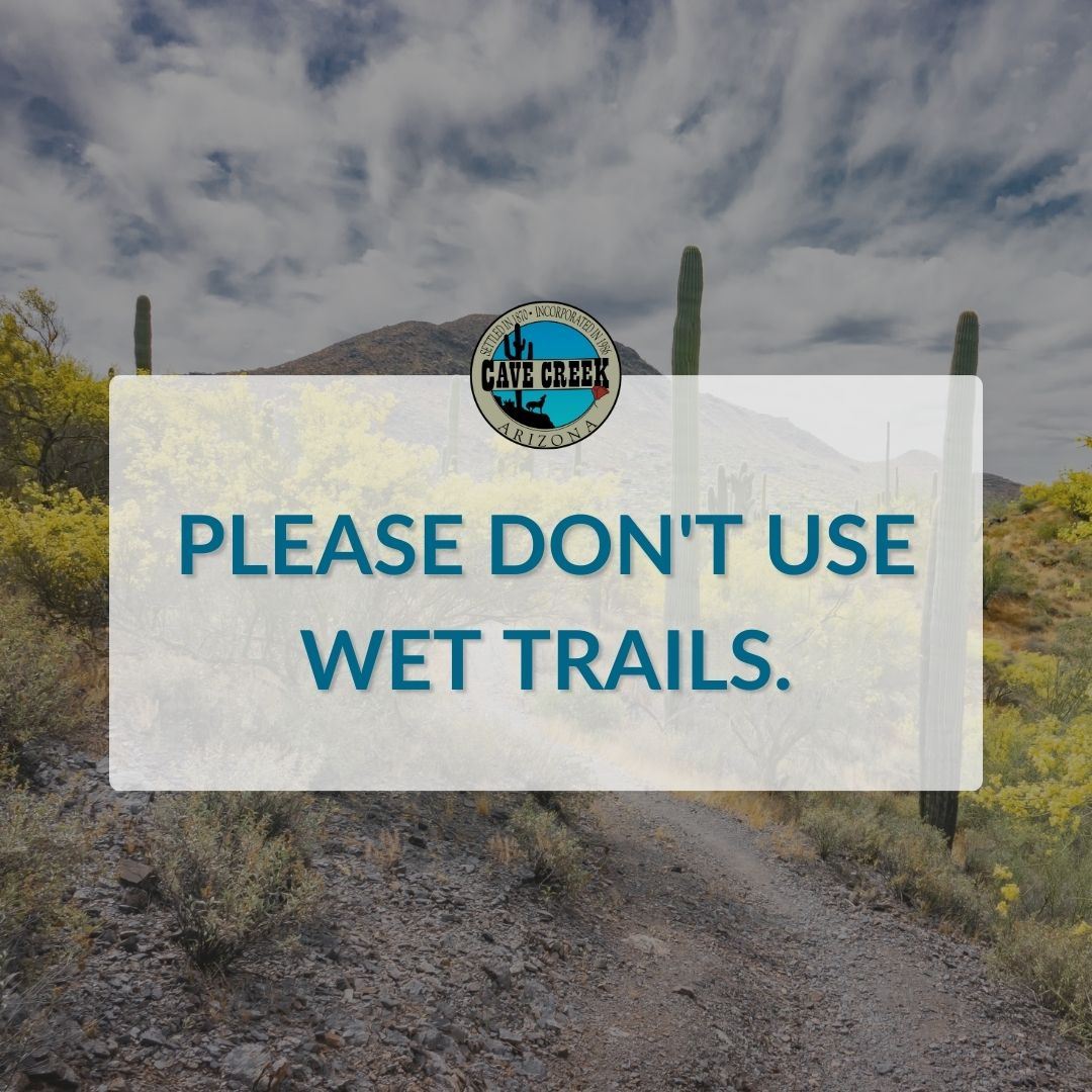 Wet Trails