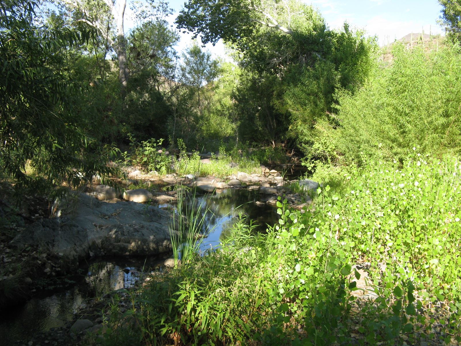 Some of the beautiful scenes found in the Spur Cross Conservation Area