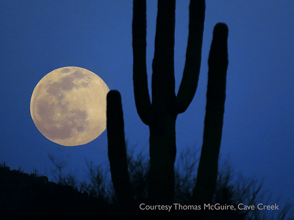 Night time photograph of the full moon with a of a cactus by Thomas McGuire