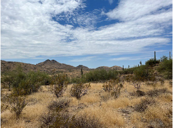 Photo of desert in the proposed open space acquisition in Cave Creek.