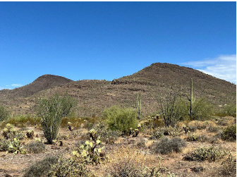 Photo of desert in the proposed open space acquisition in Cave Creek.