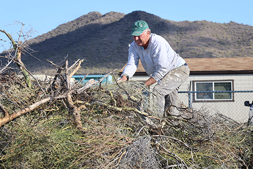 brush drop off march 2025 500px
